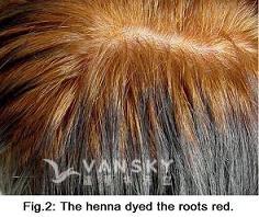 240312160202_Hair-Dying with henna-s.jpg